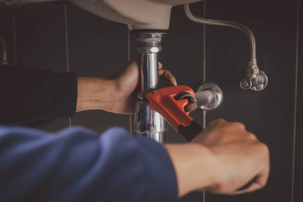 Best Plumbing Repair Near Me  in Braska City, NE